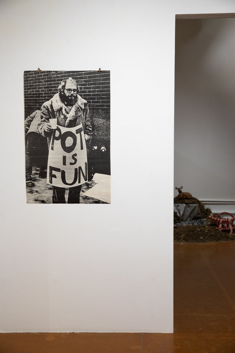 POT IS FUN | Allen Ginsberg – THESE DAYS