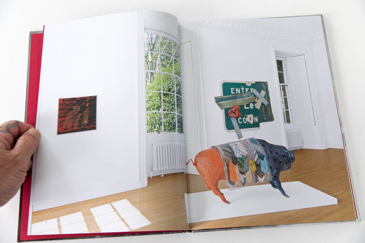 RAUSCHENBERG | Botanical Vaudeville – THESE DAYS