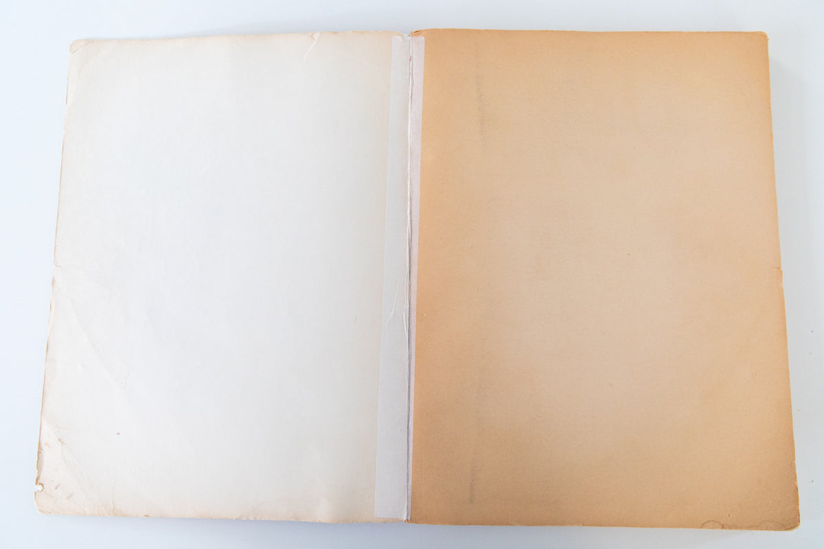 THE NEW WOMAN'S SURVIVAL CATALOG THESE DAYS