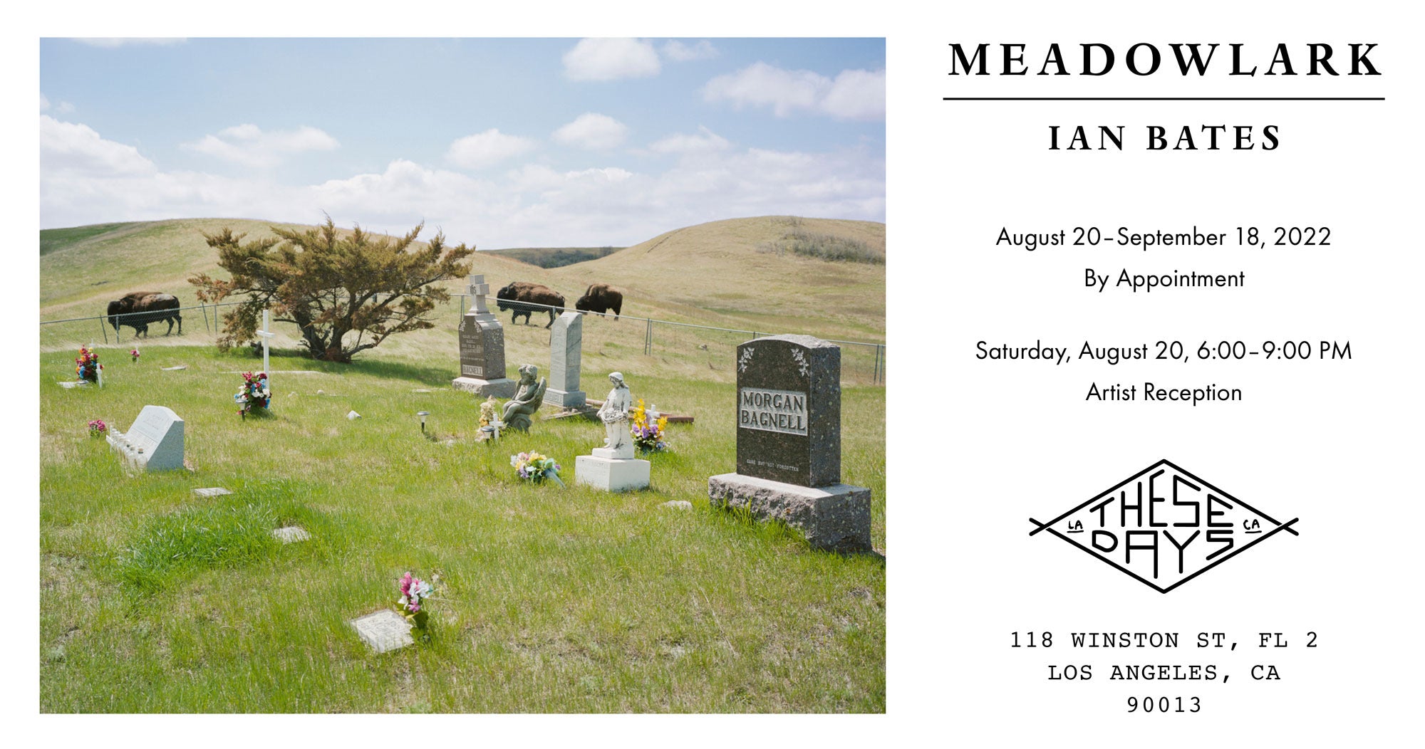 MEADOWLARK | Ian Bates