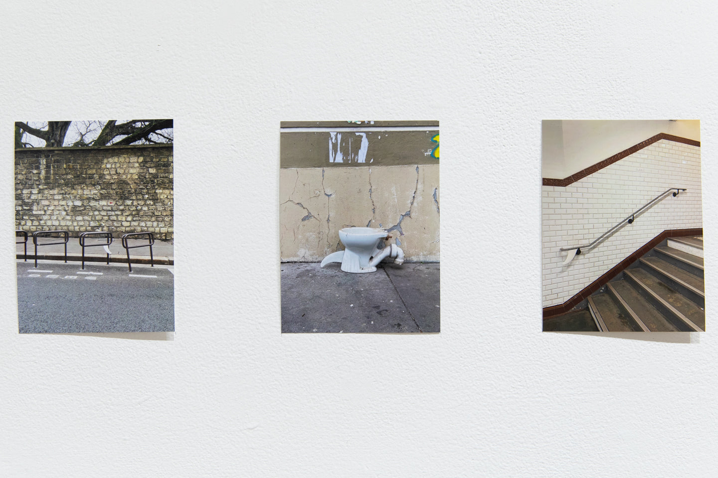 LUCAS LECACHEUR | The White Fin Project