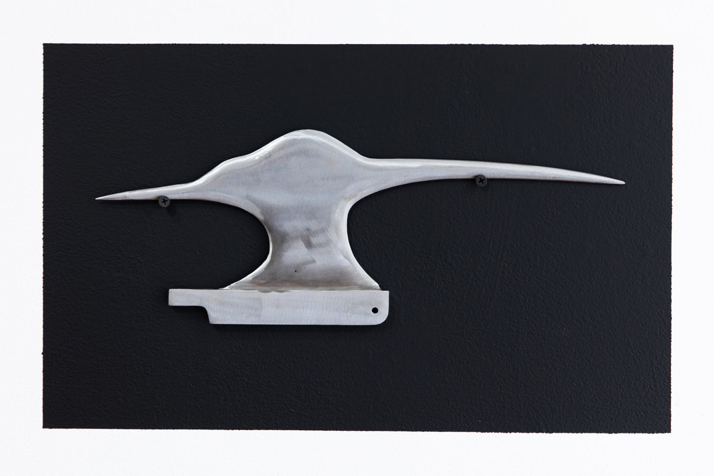 LUCAS LECACHEUR | The White Fin Project