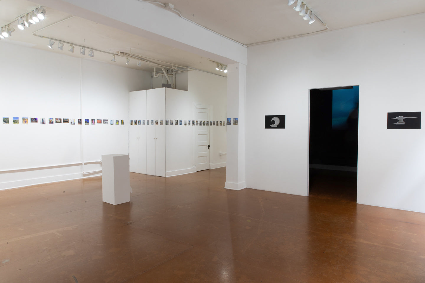 LUCAS LECACHEUR | The White Fin Project