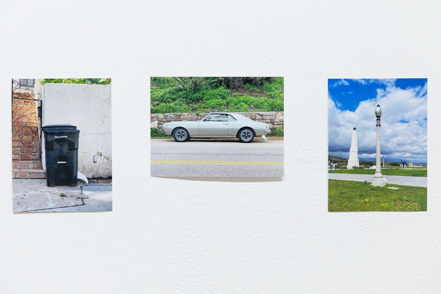 LUCAS LECACHEUR | The White Fin Project