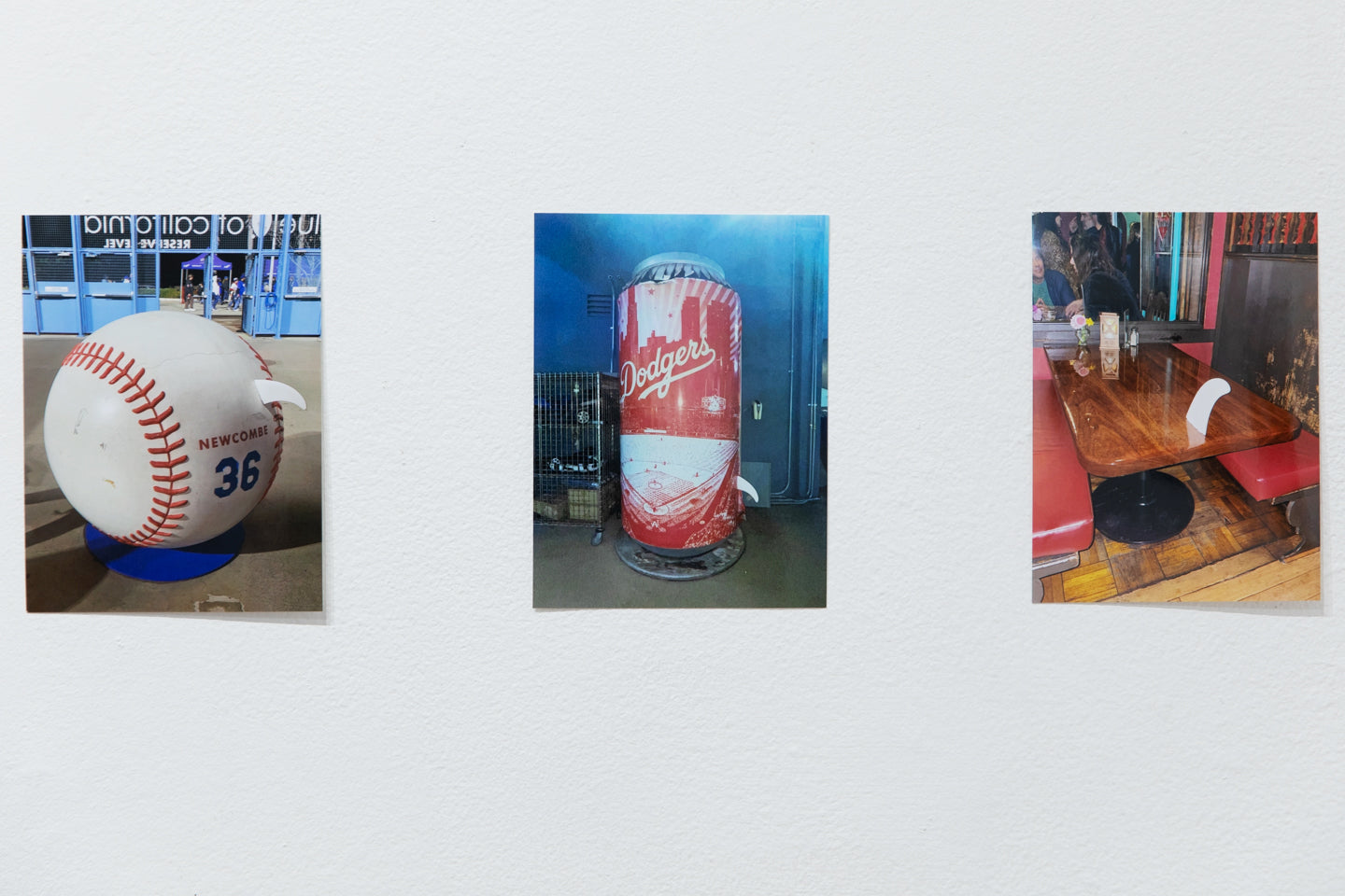 LUCAS LECACHEUR | The White Fin Project