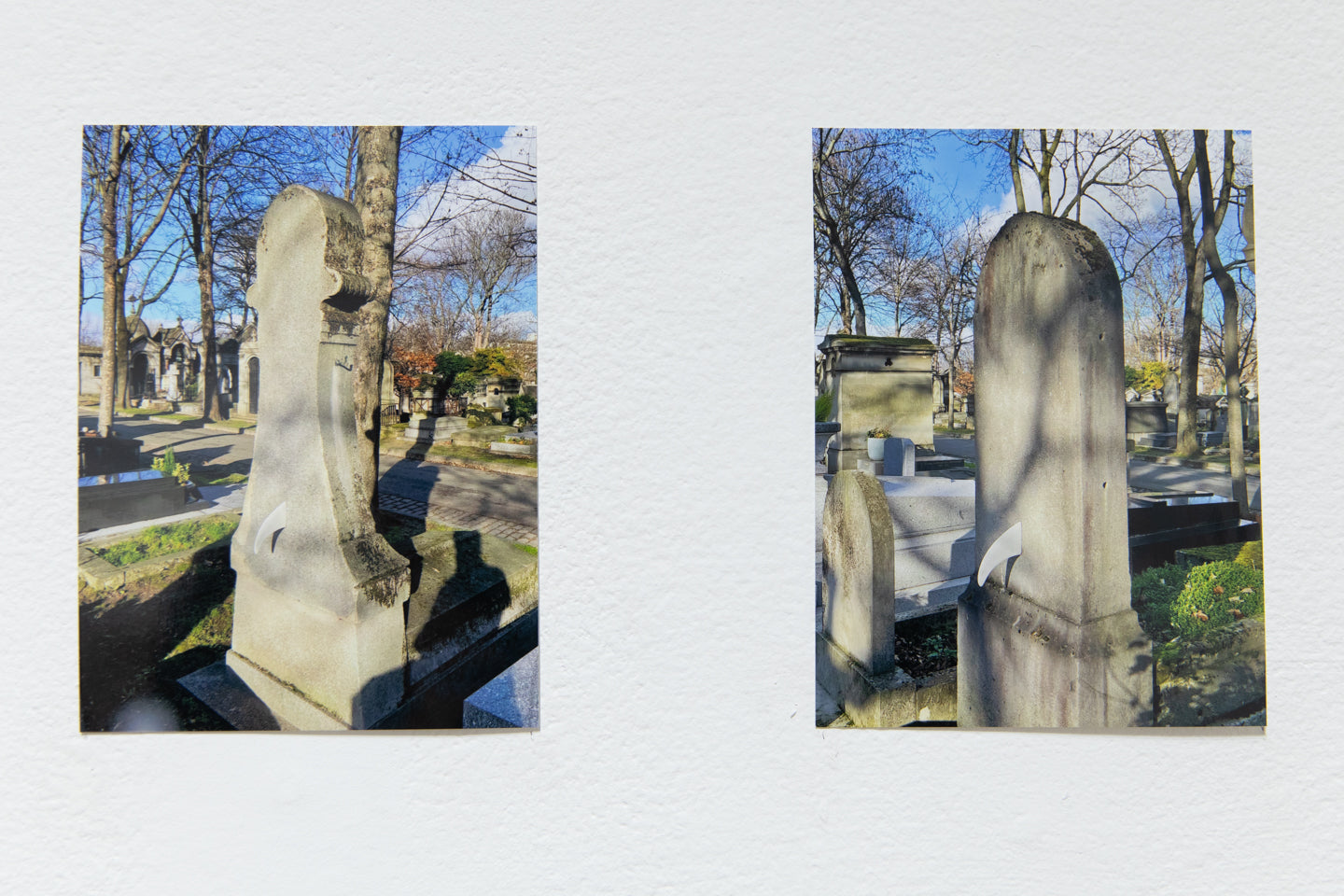 LUCAS LECACHEUR | The White Fin Project