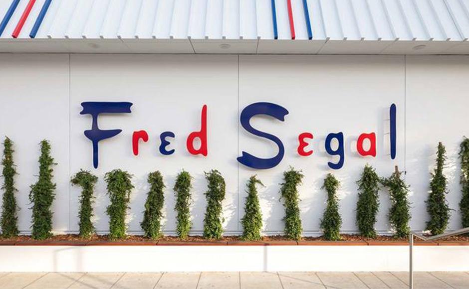 THESE DAYS x FRED SEGAL