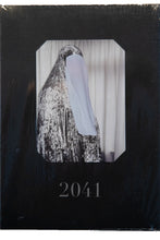 Load image into Gallery viewer, 2041