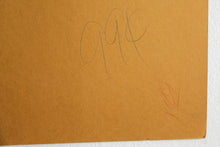 Load image into Gallery viewer, TAKE ACID PILLS