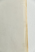 Load image into Gallery viewer, ANGELEA DAVIS