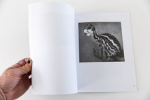 Load image into Gallery viewer, ANIMAL RITES | A Pictorial Study of Relationships