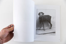 Load image into Gallery viewer, ANIMAL RITES | A Pictorial Study of Relationships
