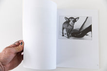 Load image into Gallery viewer, ANIMAL RITES | A Pictorial Study of Relationships