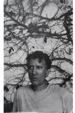 Load image into Gallery viewer, ANP QUARTERLY NO. 2