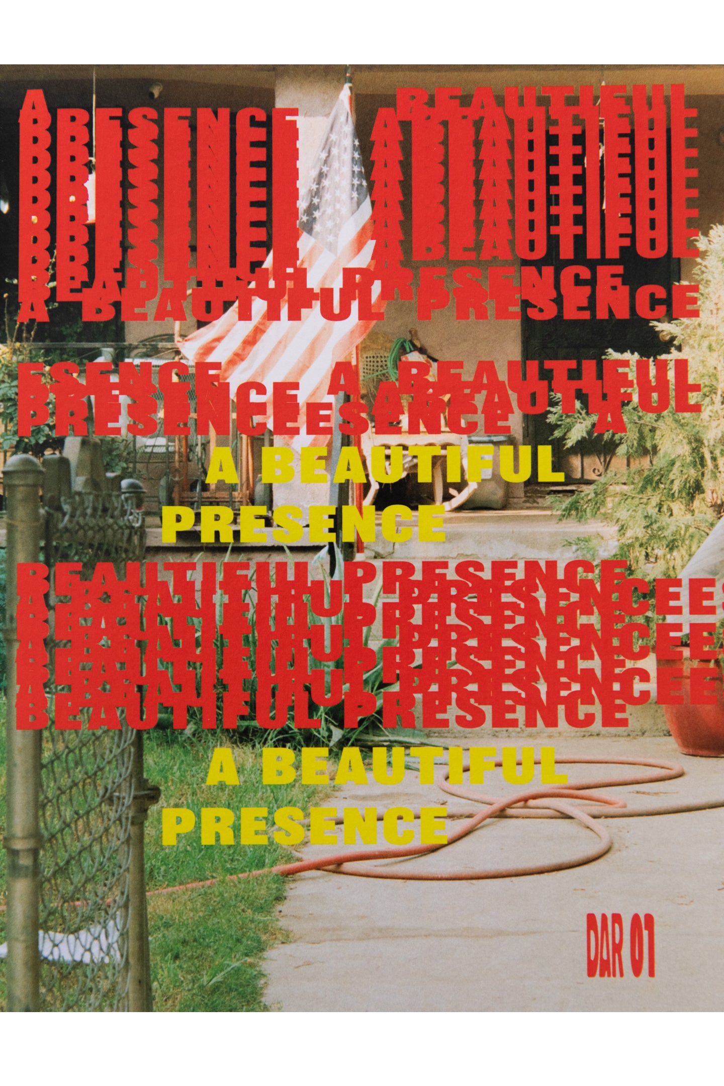 A BEAUTIFUL PRESENCE