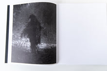 Load image into Gallery viewer, BETWENN THE MOUNTAIN AND THE RIVER