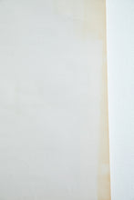 Load image into Gallery viewer, STANLEY MOUSE + ALTON KELLEY | Bo Diddly