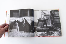 Load image into Gallery viewer, CALDER AT HOME