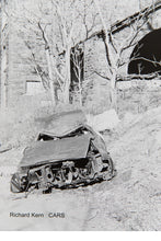 Load image into Gallery viewer, CARS