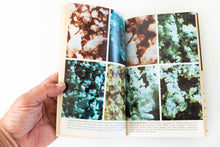 Load image into Gallery viewer, COCAINE CONSUMER&#39;S HANDBOOK