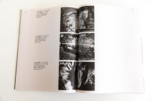 Load image into Gallery viewer, DAIDO MORIYAMA SHASHIN JIDAI 1981-1988