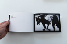 Load image into Gallery viewer, DAIDO SLIDE