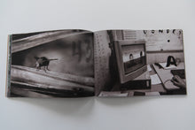 Load image into Gallery viewer, DESAPARECEN 43