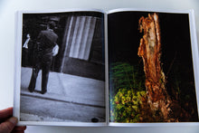 Load image into Gallery viewer, DIMMA BRUME MIST