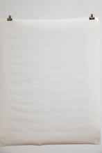 Load image into Gallery viewer, DOGTOWN SKATES | Promotional Poster