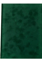 Load image into Gallery viewer, DOUBLE PLAYER