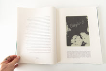 Load image into Gallery viewer, DOUBLE PLAYER