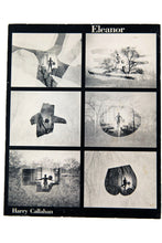 Load image into Gallery viewer, ELEANOR