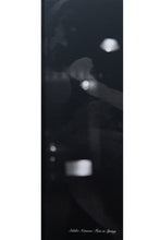 Load image into Gallery viewer, FATE IN SPRING