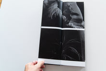 Load image into Gallery viewer, FATE IN SPRING