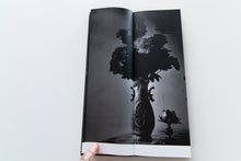 Load image into Gallery viewer, FATE IN SPRING