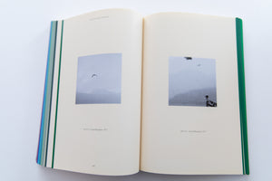 FIELD GUIDE TO BIRDS OF THE WEST INDIES