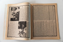 Load image into Gallery viewer, FLIPSIDE No. 29