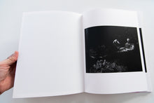 Load image into Gallery viewer, FLOWERS DRINK THE RIVER