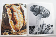 Load image into Gallery viewer, FRUITING BODIES