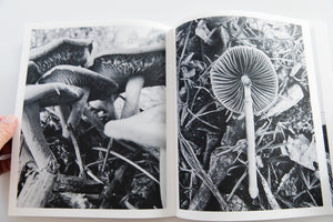 FRUITING BODIES