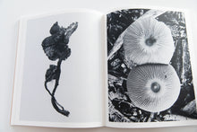 Load image into Gallery viewer, FRUITING BODIES