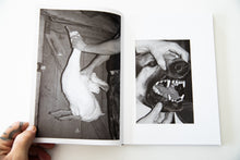 Load image into Gallery viewer, GUT FEELING
