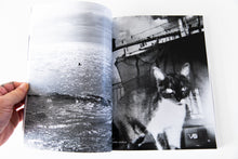 Load image into Gallery viewer, HAMBURGER EYES | The First 25 Years