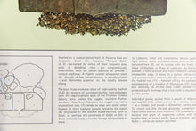 Load image into Gallery viewer, HASHISH