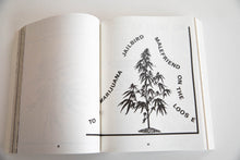Load image into Gallery viewer, HEADS TOGETHER | Weed and the Underground Press Syndicate 1965 - 1973