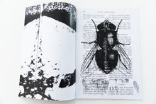 Load image into Gallery viewer, HOLY BIBLE