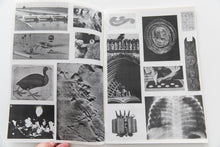 Load image into Gallery viewer, INVENTAIRE DÉRAISONNÉ No. 17