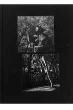 Load image into Gallery viewer, KING OF ALL THE LAND | Mitski