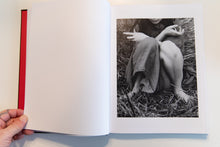 Load image into Gallery viewer, KING OF ALL THE LAND | Mitski