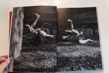 Load image into Gallery viewer, KING OF ALL THE LAND | Mitski